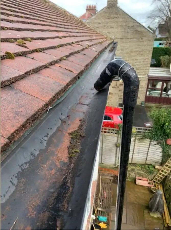 A mossed roof edge and a gutter run choked with silt, seen from roof level