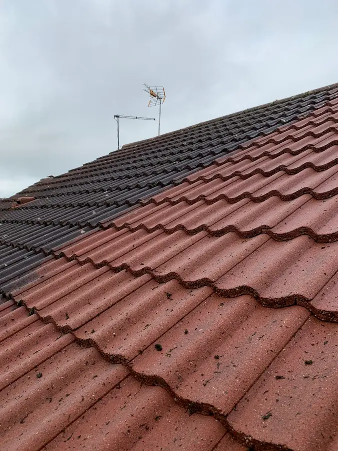 A tiled roof half-stripped of moss, the cleaned half showing its original red tile