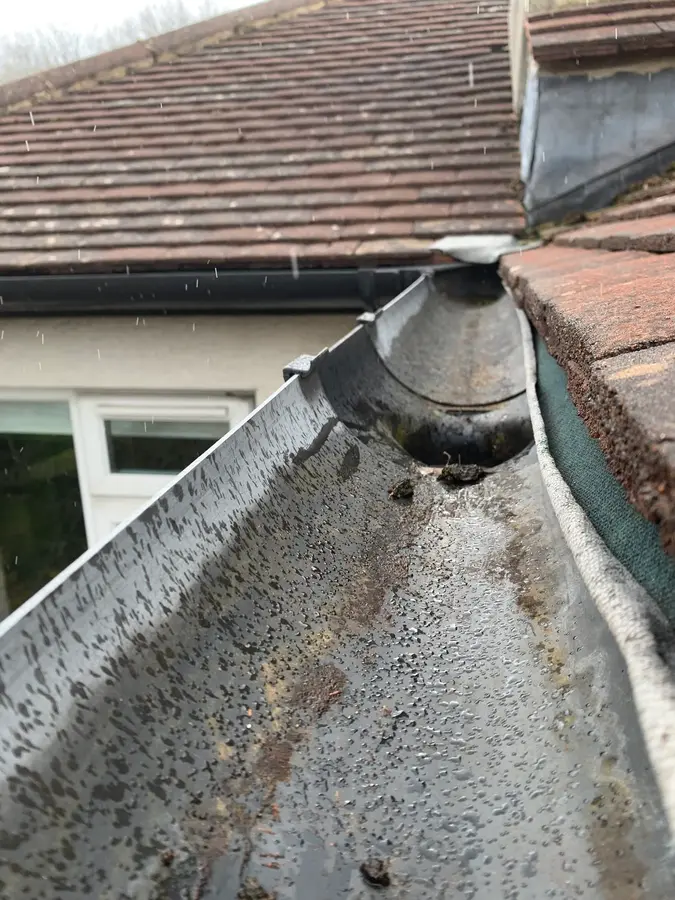 A dirt-streaked fascia and gutter run beneath a grey rendered wall