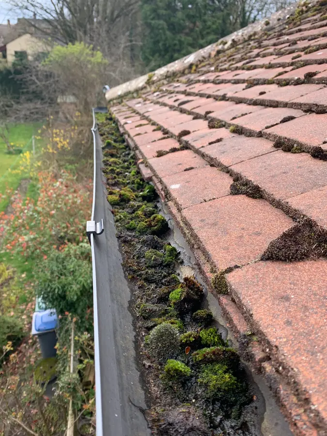 A gutter run packed solid with moss alongside a red pantile roof