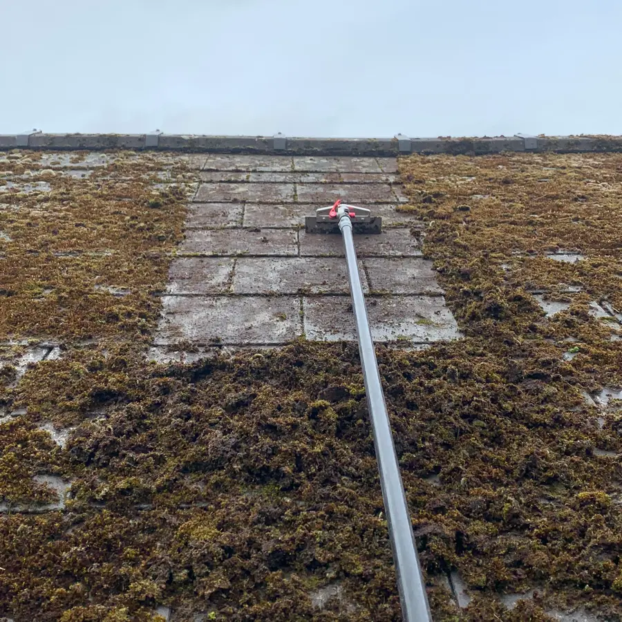 A cleaning lance laid across a heavily mossed roof part-way through a wash